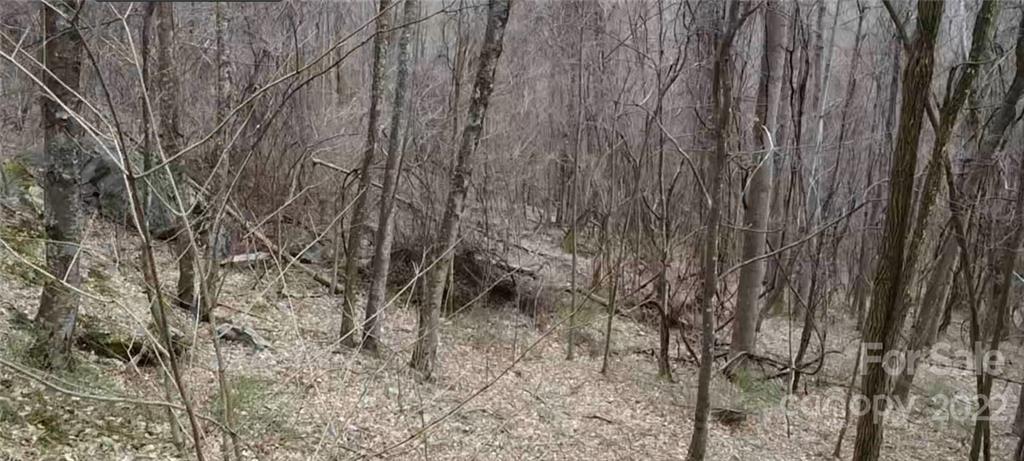 17 Poplar Cove Road, Unit 17 Clyde, NC 28721 - Photo 3 of 13 a view of a yard
