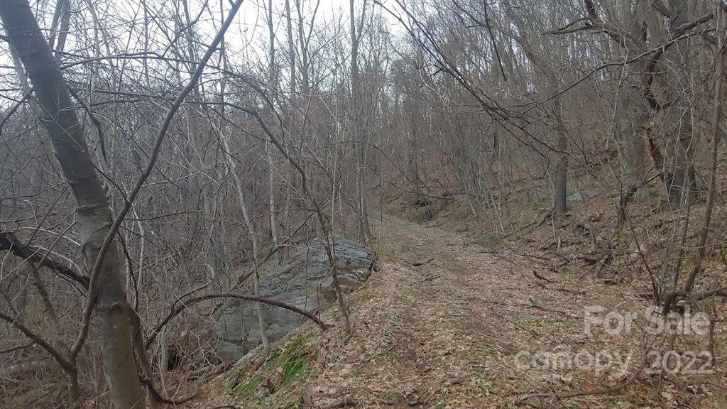 17 Poplar Cove Road, Unit 17 Clyde, NC 28721 - Photo 7 of 13 a backyard of a house with lots of green space