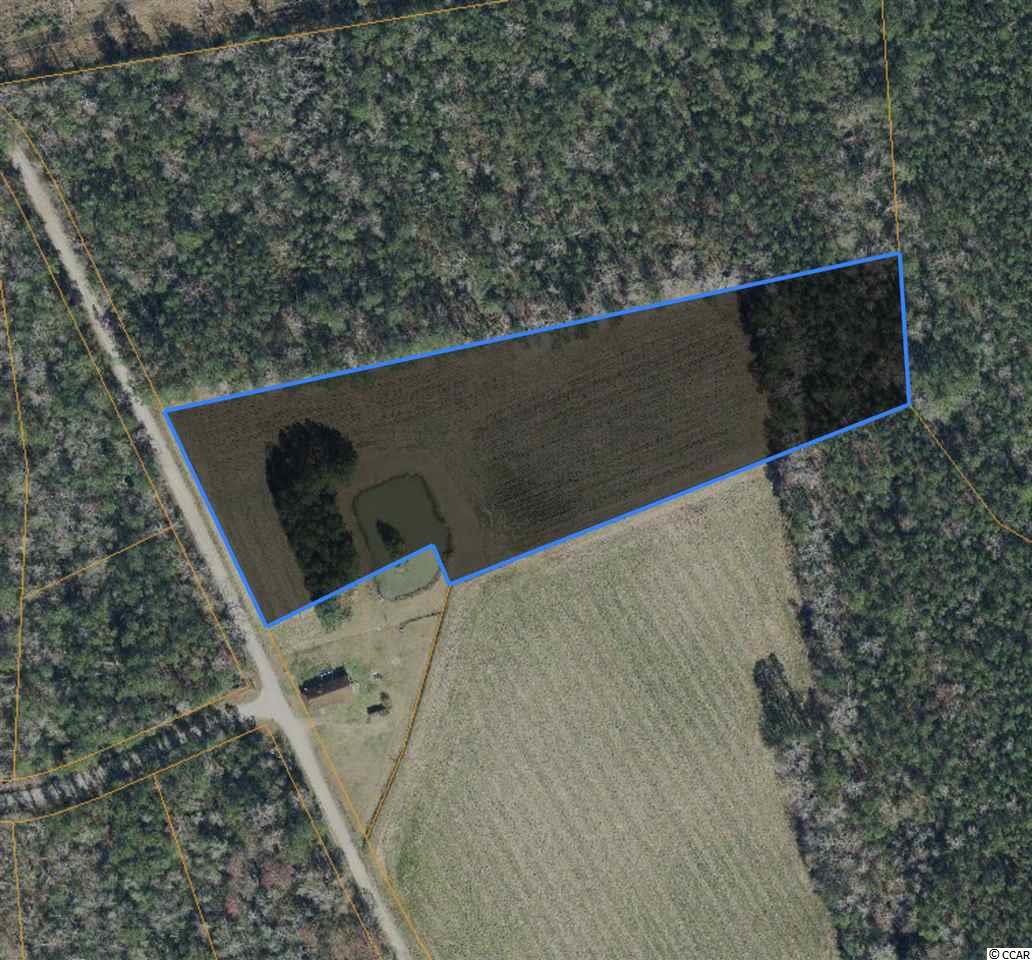 Tract D Dukes Road Conway, SC 29526 - Photo 1 of 3 Gallery Image 1