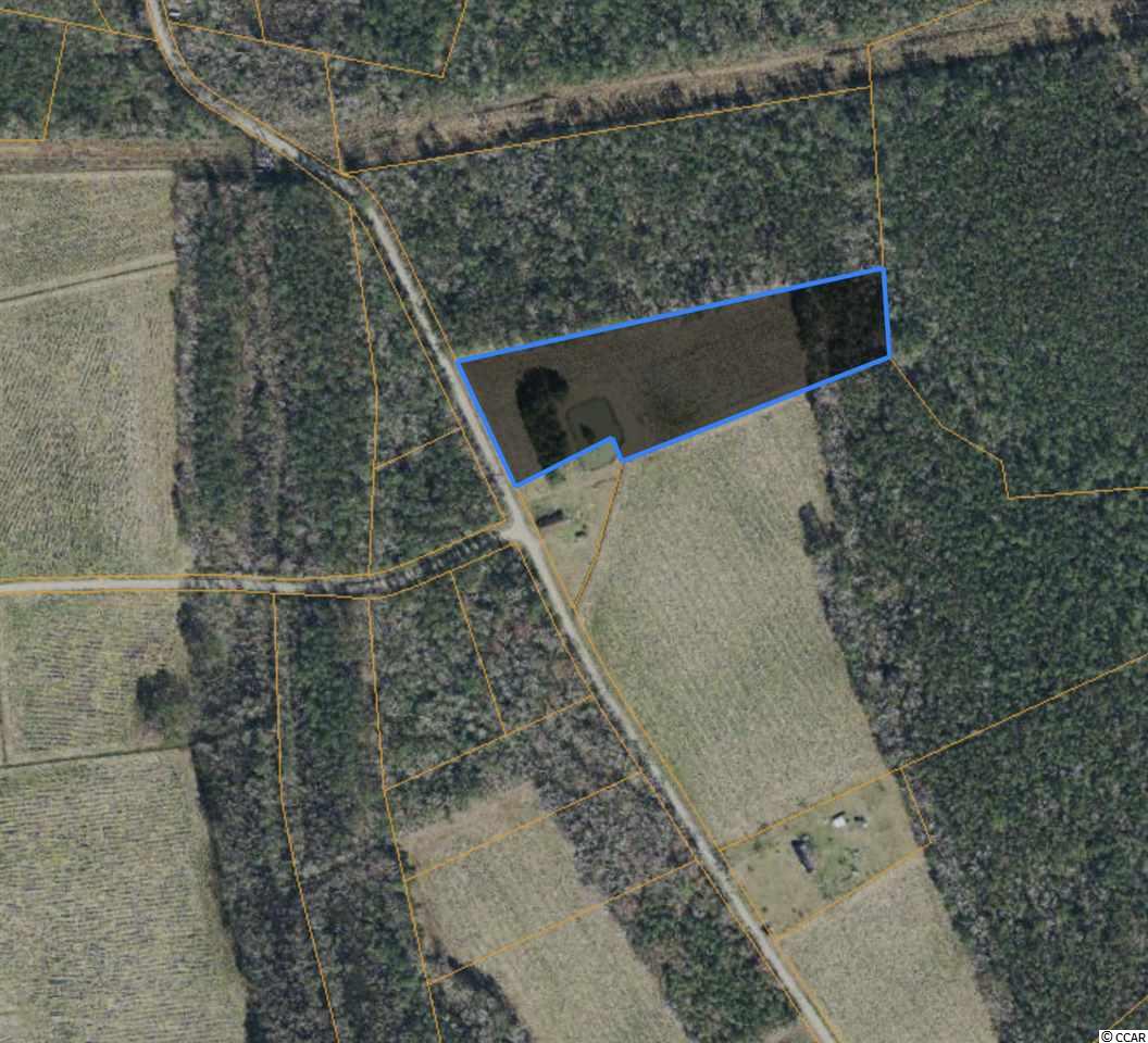 Tract D Dukes Road Conway, SC 29526 - Photo 2 of 3 Gallery Image 2