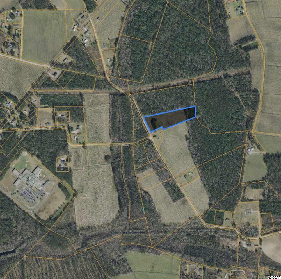 Tract D Dukes Road Conway, SC 29526 - Photo 3 of 3 Gallery Image 3