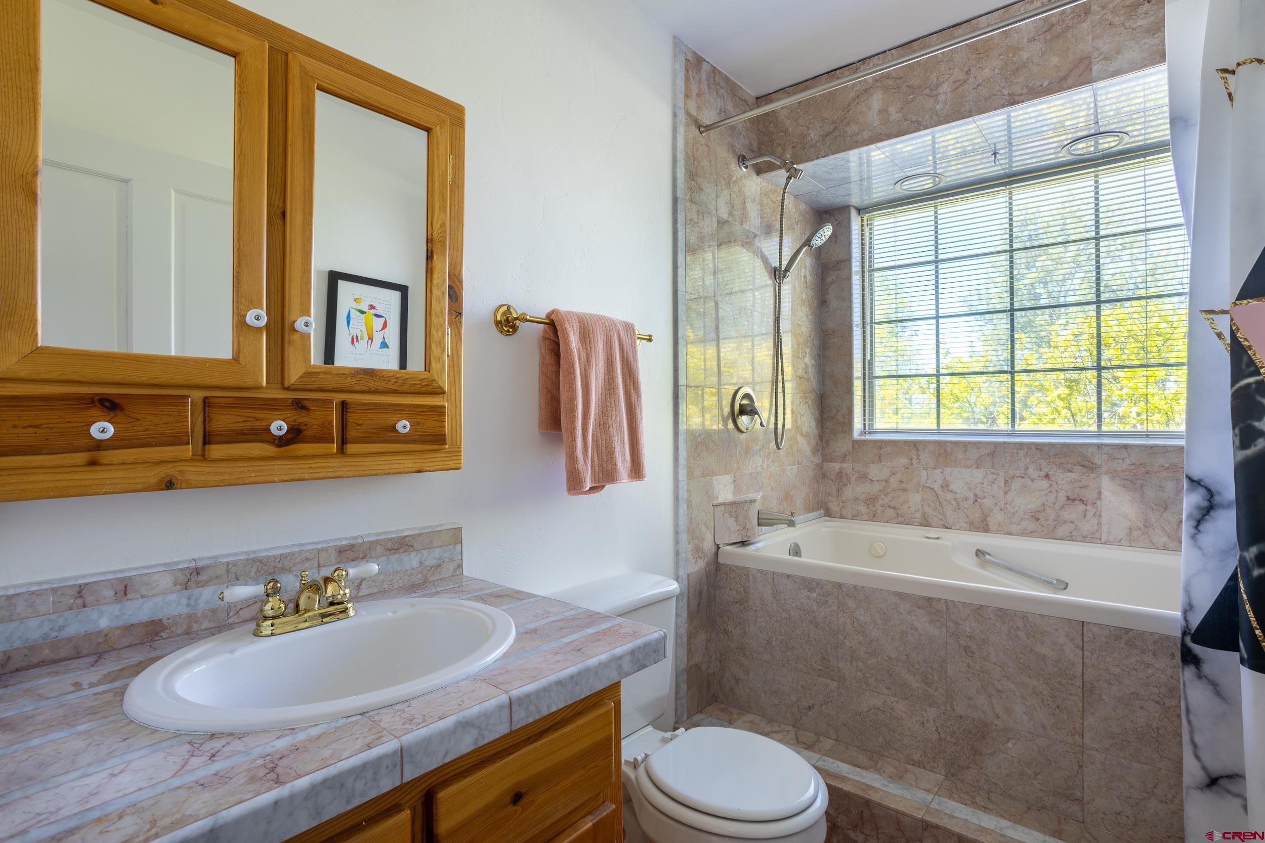 42224 Foothills Road Paonia, CO 81428 - Photo 18 of 40 a bathroom with a sink toilet a mirror and bathtub