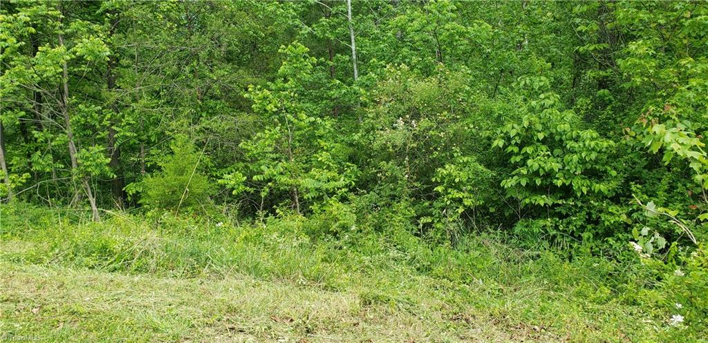 170 Carters Ridge Road Advance, NC 27006 - Photo 3 of 5 Gallery Image 3