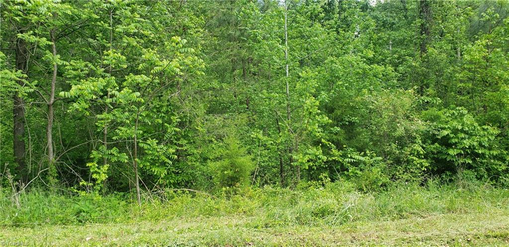 170 Carters Ridge Road Advance, NC 27006 - Photo 4 of 5 Gallery Image 4