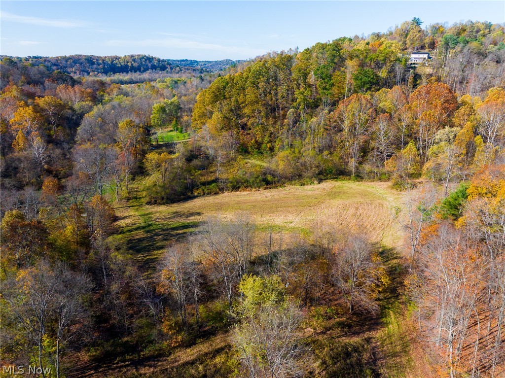 Plum Road Kimbolton, OH 43749 - Photo 45 of 50 View of mountain backdrop featuring a forest