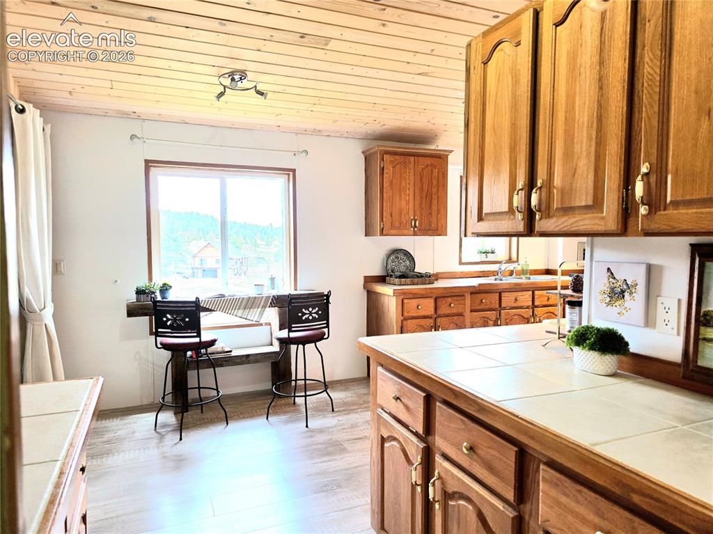 891 North Mountain Estates Road Florissant, CO 80816 - Photo 18 of 49