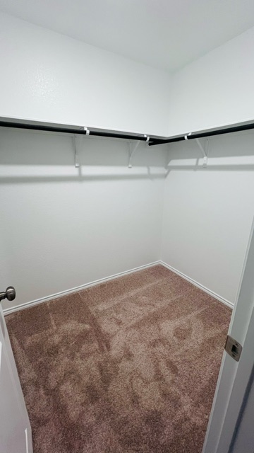 304 The Bad Way Jarrell, TX 76537 - Photo 19 of 26 a view of a room with shelf