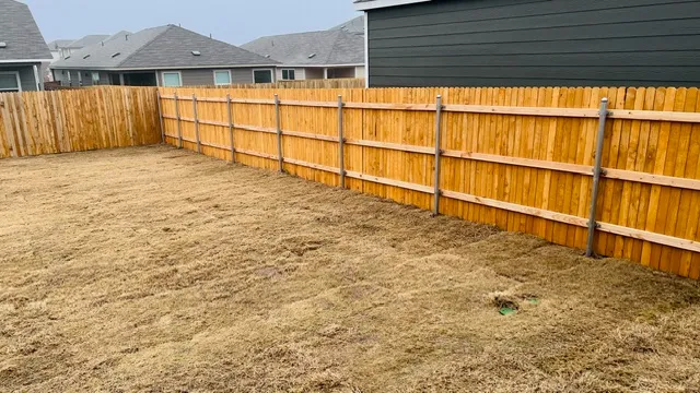 a view of a backyard