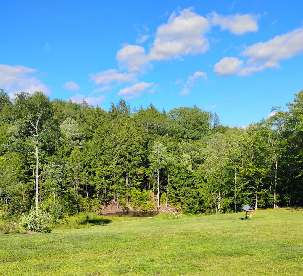459 Adams Road Chesterville, ME 04938 - Photo 31 of 31 7450136179229324521_1774460809566