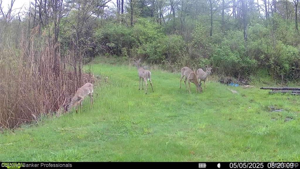 Vl Rattle Run Road St. Clair, MI 48079 - Photo 37 of 45 Gallery Image 37