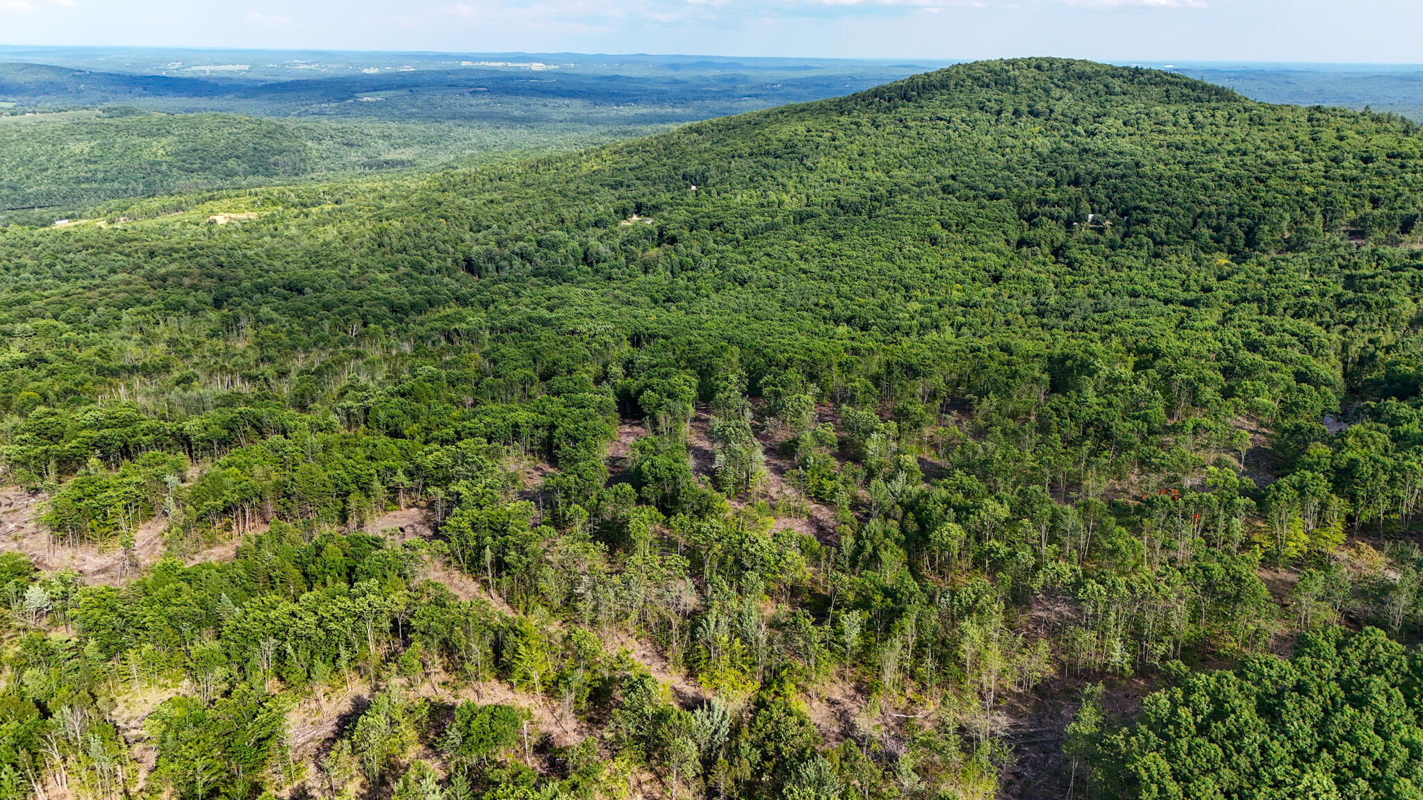 54.62 McAlister Road Buckfield, ME 04220 - Photo 35 of 80 dji_fly_20240718_171604_0100_17213512530