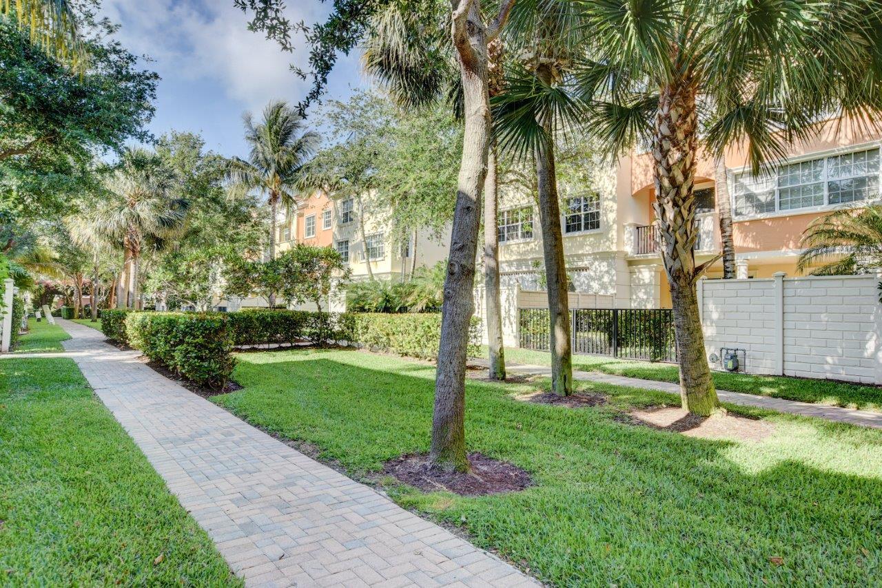 5610 Northeast Trieste Terrace Boca Raton, FL 33487 - Photo 42 of 44 a view of a garden with a tree