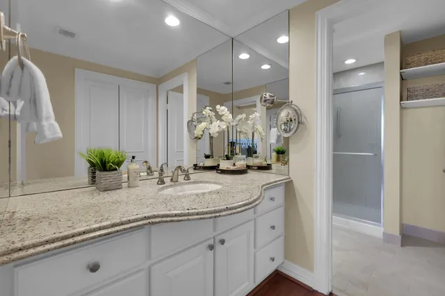 a bathroom with a granite countertop sink a potted plant and a shower