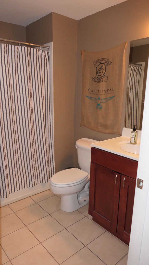 1061 West 16th Street, Unit 201 Chicago, IL 60608 - Photo 11 of 14 a bathroom with a sink and a toilet