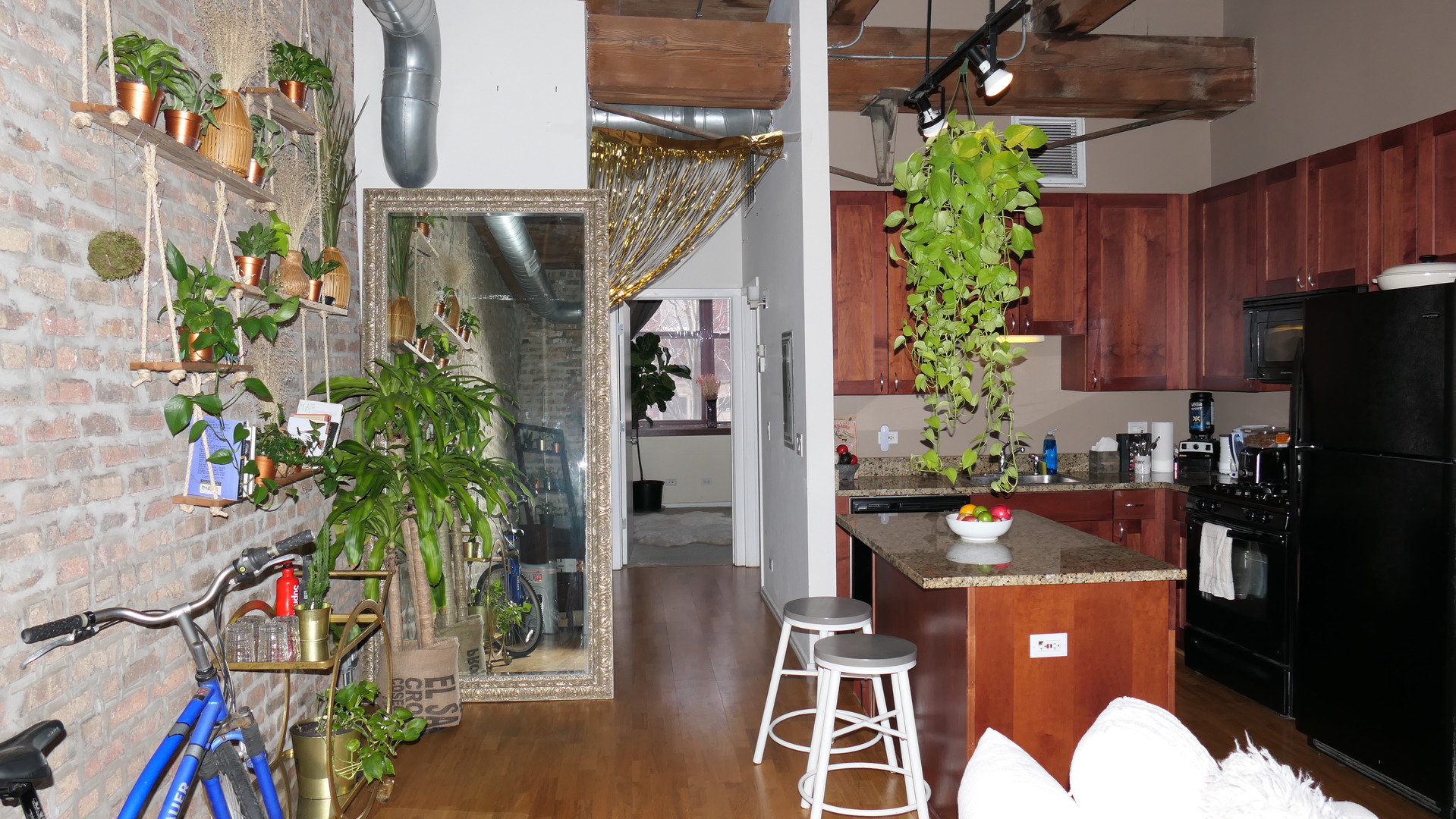 1061 West 16th Street, Unit 201 Chicago, IL 60608 - Photo 14 of 14 a kitchen with a potted plant on a counter and a potted plant