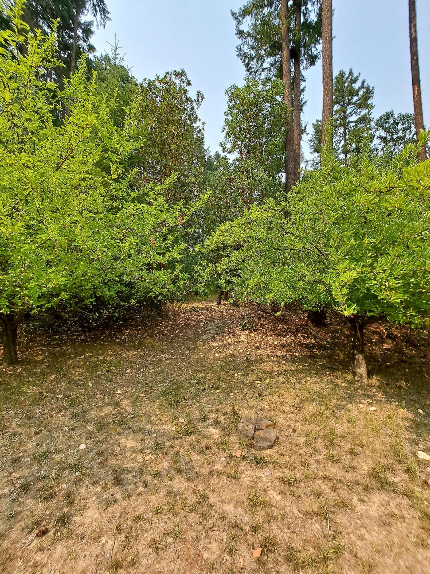 1230 Kincaid Road Williams, OR 97544 - Photo 29 of 36 20210803_145704