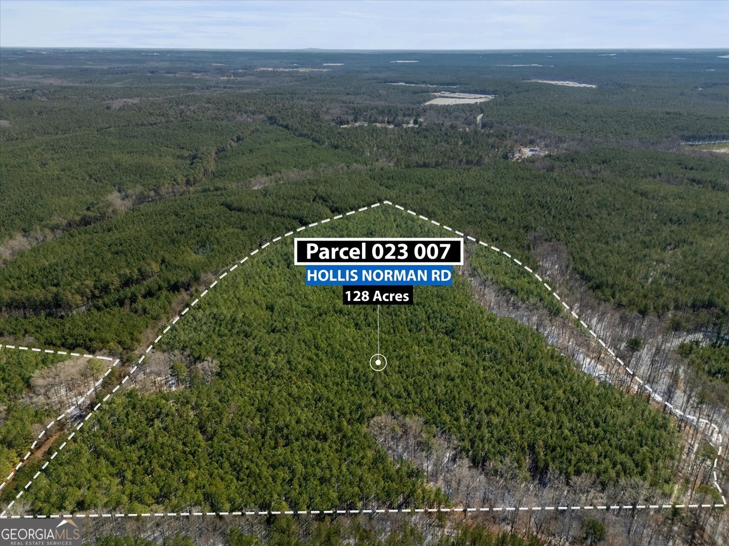 0 Callaway & Hollis Norman Road Washington, GA 30673 - Photo 12 of 17 a view of a outdoor space with mountain view