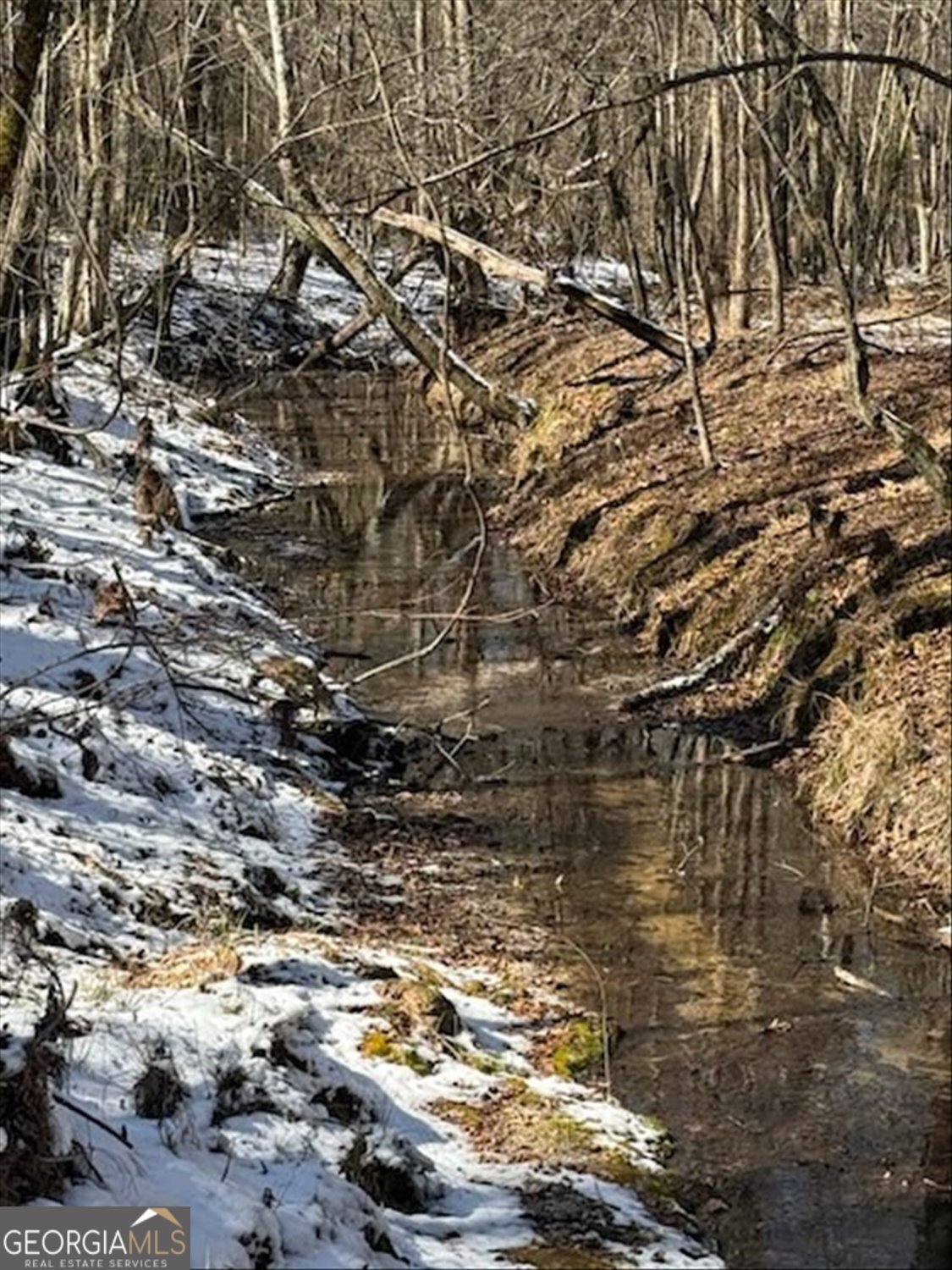 0 Callaway & Hollis Norman Road Washington, GA 30673 - Photo 14 of 17