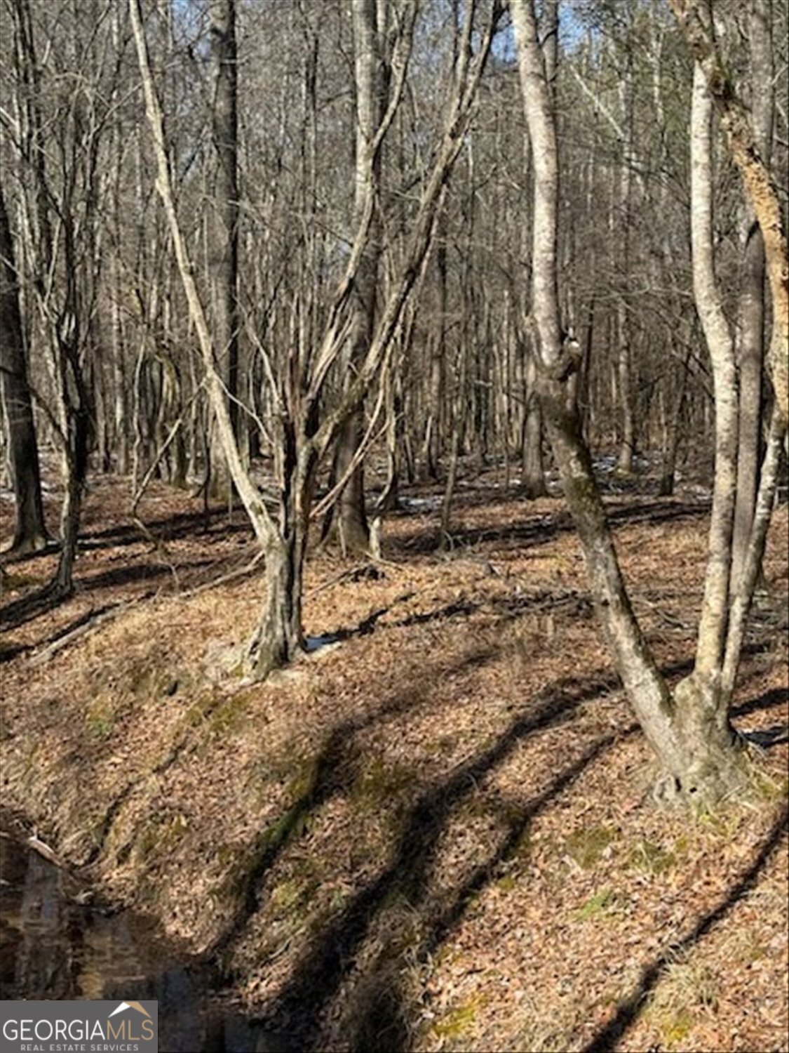 0 Callaway & Hollis Norman Road Washington, GA 30673 - Photo 15 of 17 a view of covered with snow