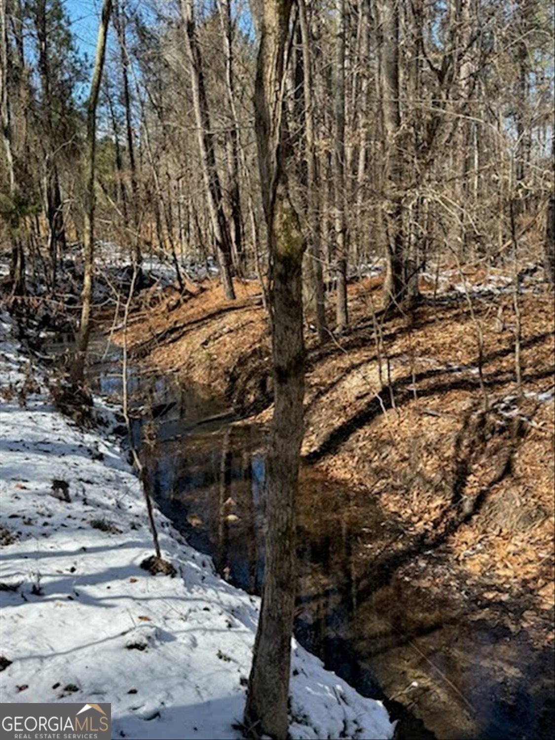 0 Callaway & Hollis Norman Road Washington, GA 30673 - Photo 17 of 17 a view of street along with trees