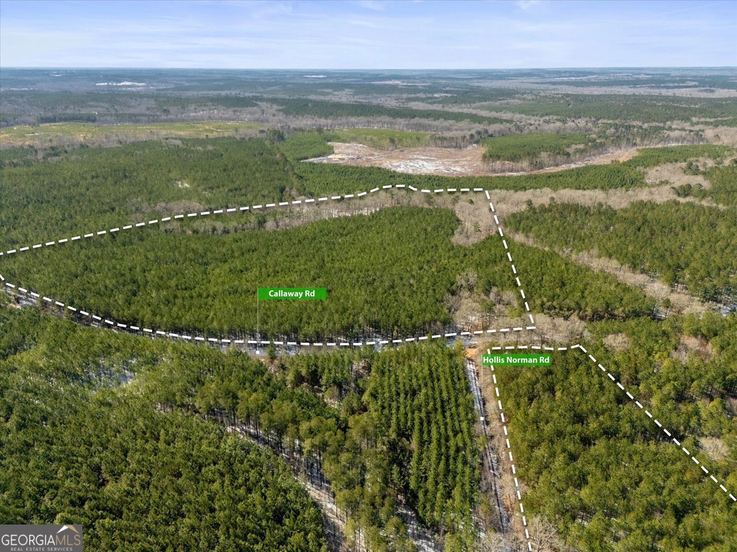 0 Callaway & Hollis Norman Road Washington, GA 30673 - Photo 4 of 17