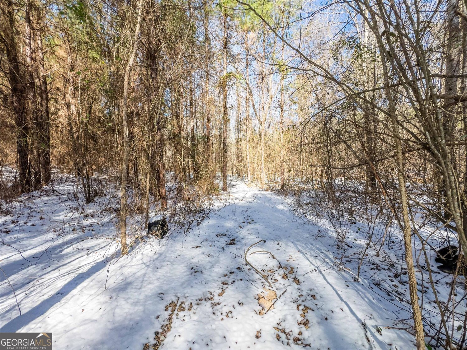 0 Callaway & Hollis Norman Road Washington, GA 30673 - Photo 6 of 17 a view of a yard with trees