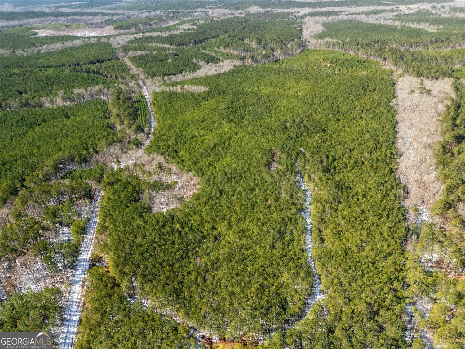 0 Callaway & Hollis Norman Road Washington, GA 30673 - Photo 7 of 17 a view of a lake with a yard