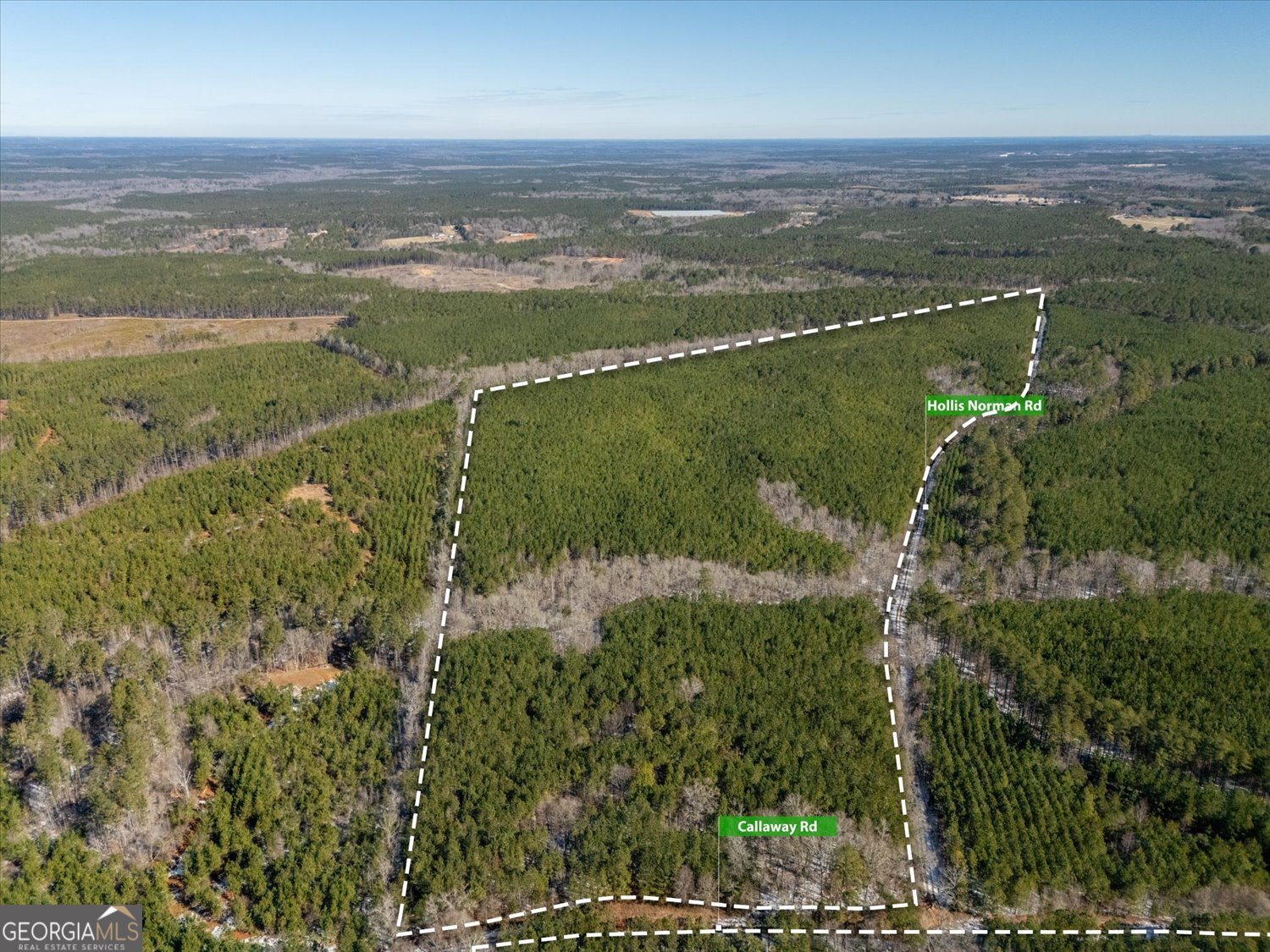 0 Callaway & Hollis Norman Road Washington, GA 30673 - Photo 8 of 17 a view of lake with mountain view