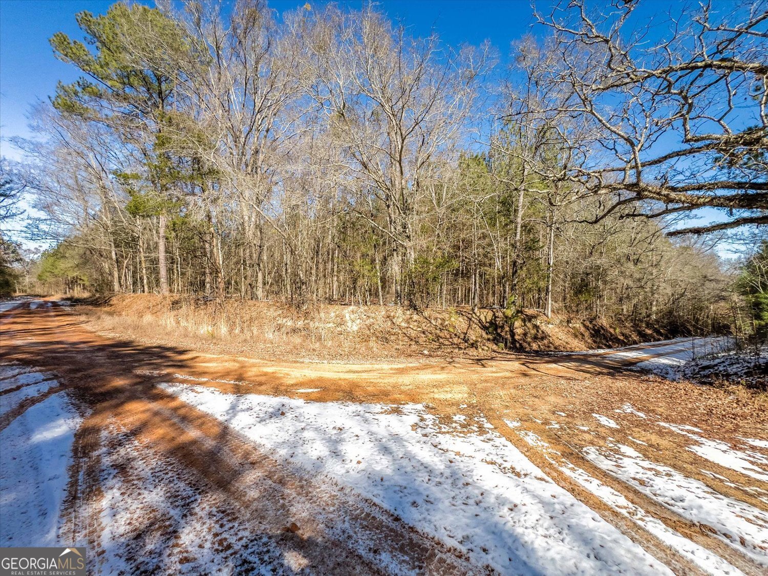 0 Callaway & Hollis Norman Road Washington, GA 30673 - Photo 9 of 17 a view of a yard with a tree