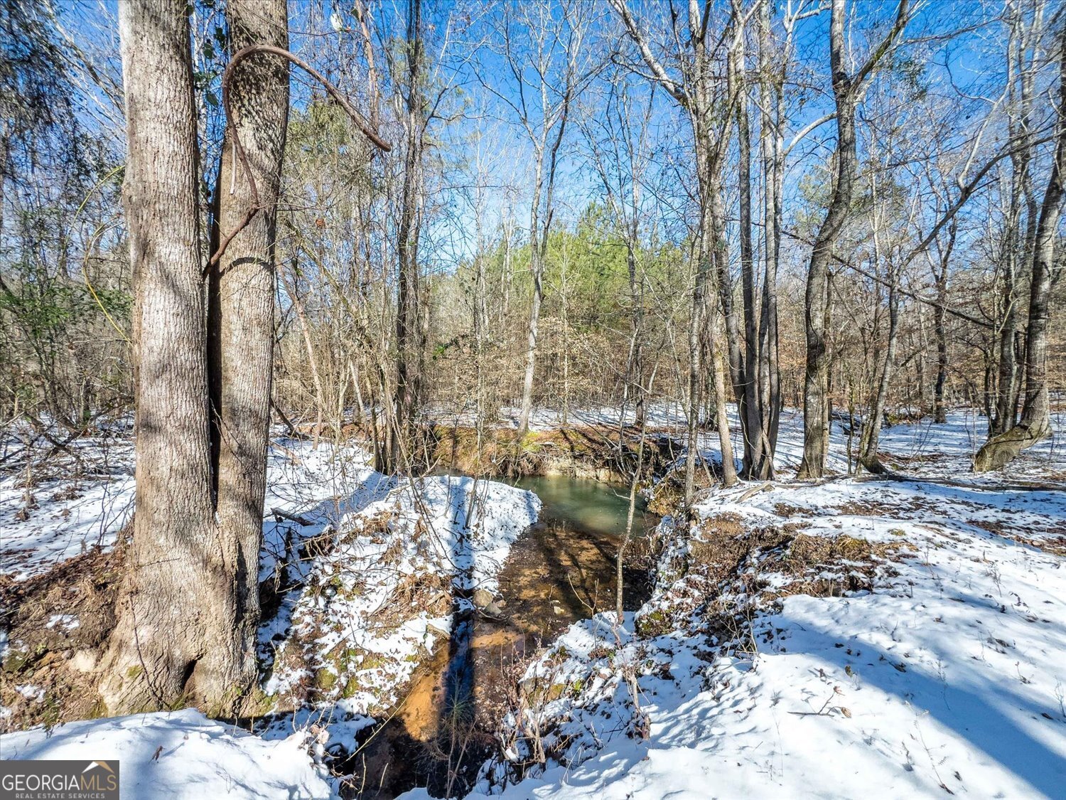 0 Callaway & Hollis Norman Road Washington, GA 30673 - Photo 10 of 17 a view of outdoor space yard and patio