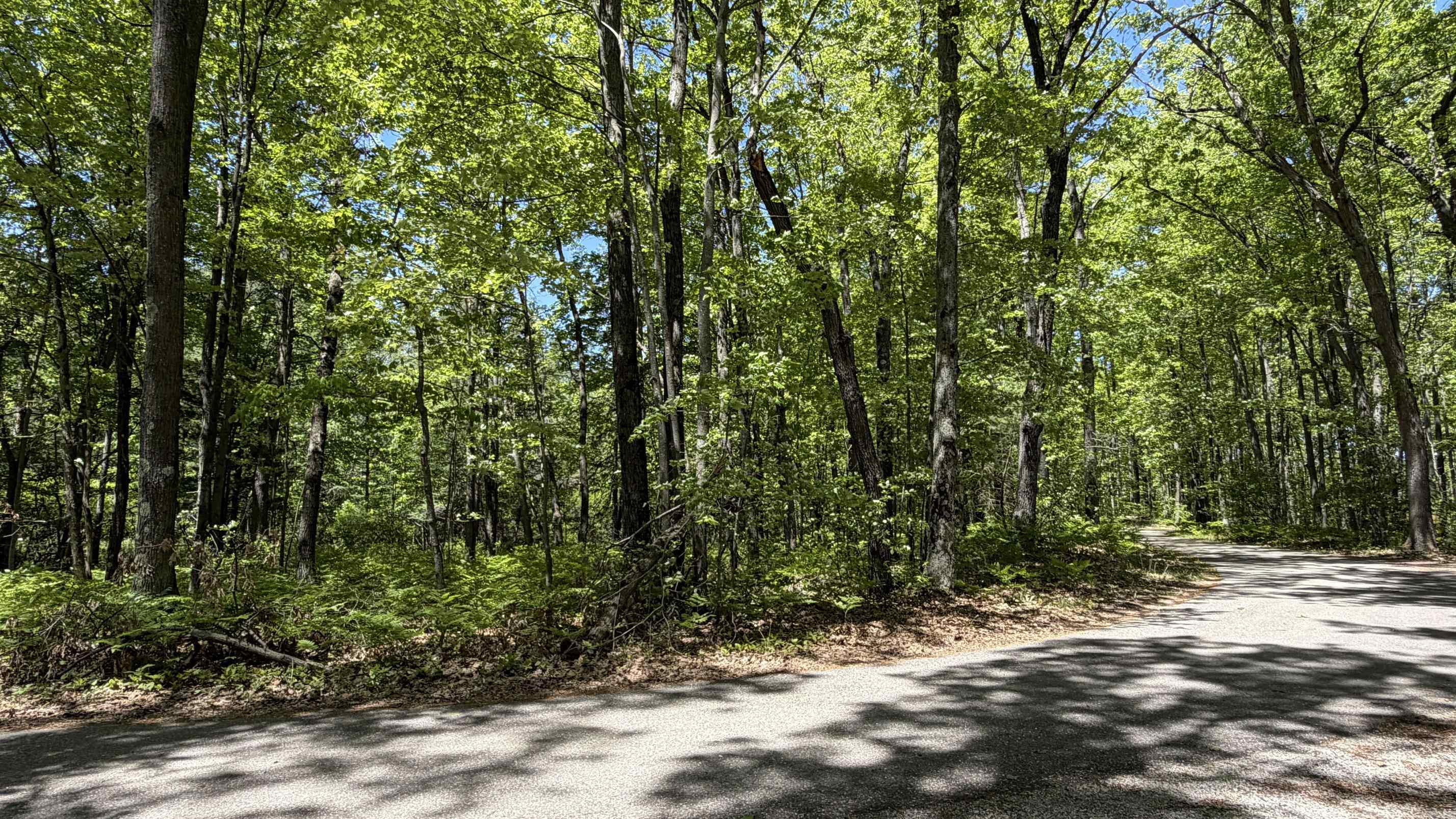 Tbd West Lk George Drive Harrison, MI 48625 - Photo 5 of 13