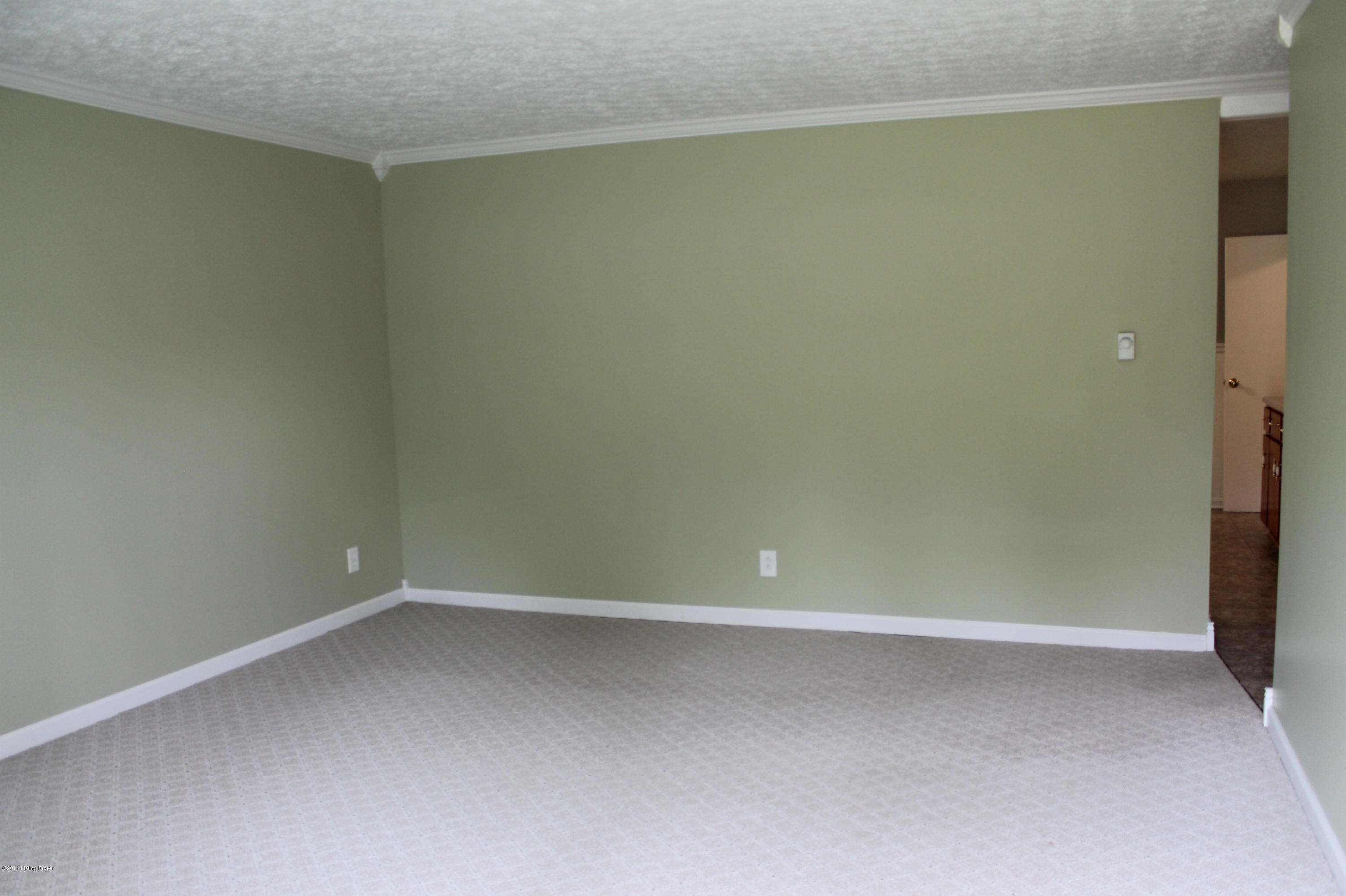 9900 Broad Run Road Louisville, KY 40299 - Photo 15 of 73 IMG_2091