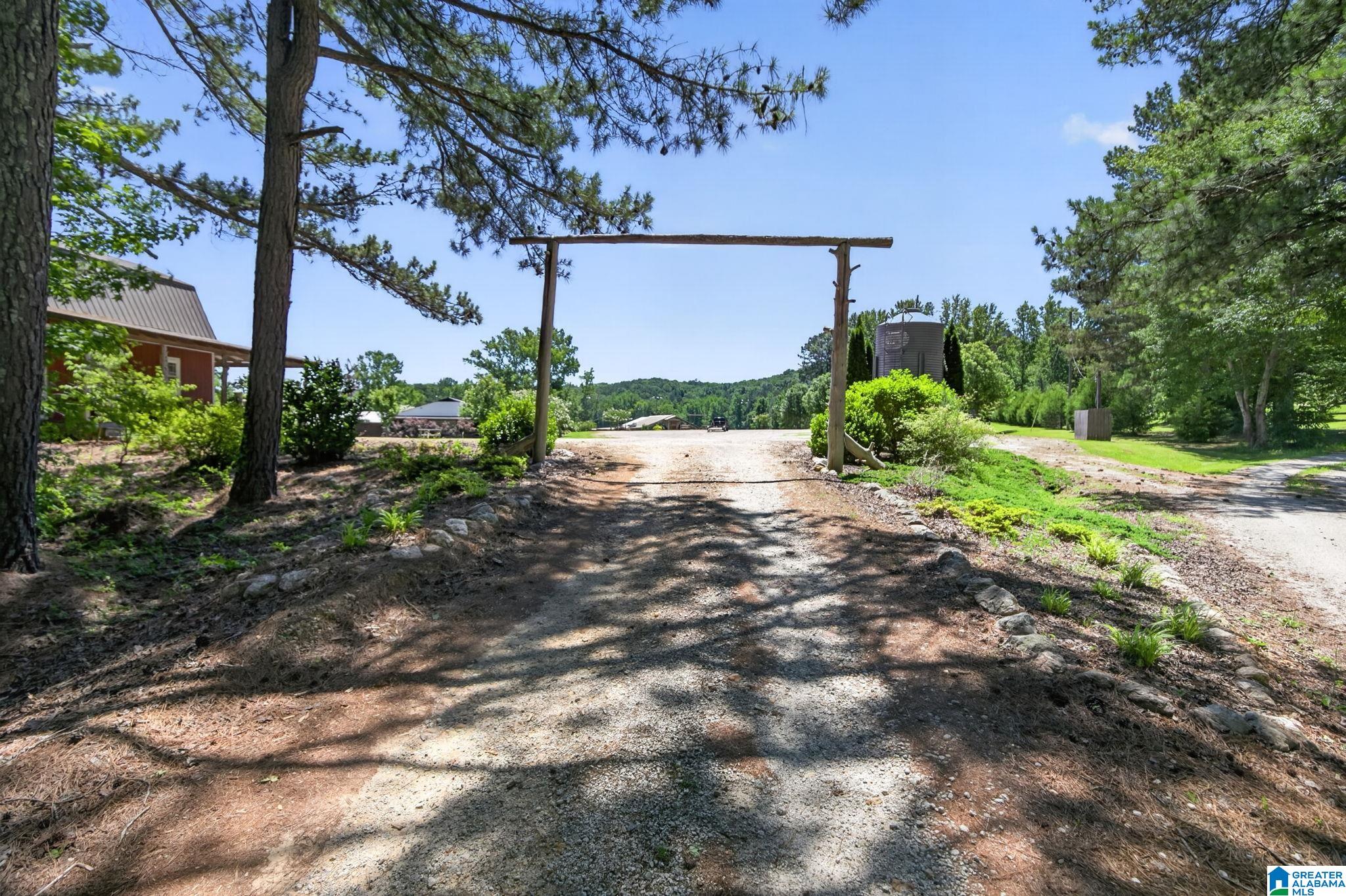3463 County Road 3 Delta, AL 36258 - Photo 1 of 100