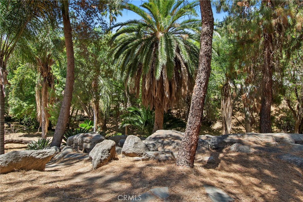 15605 Creekview Trail Riverside, CA 92506 - Photo 55 of 61