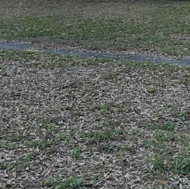 Gadsen Road Winter Haven, FL 33884 - Photo 1 of 1