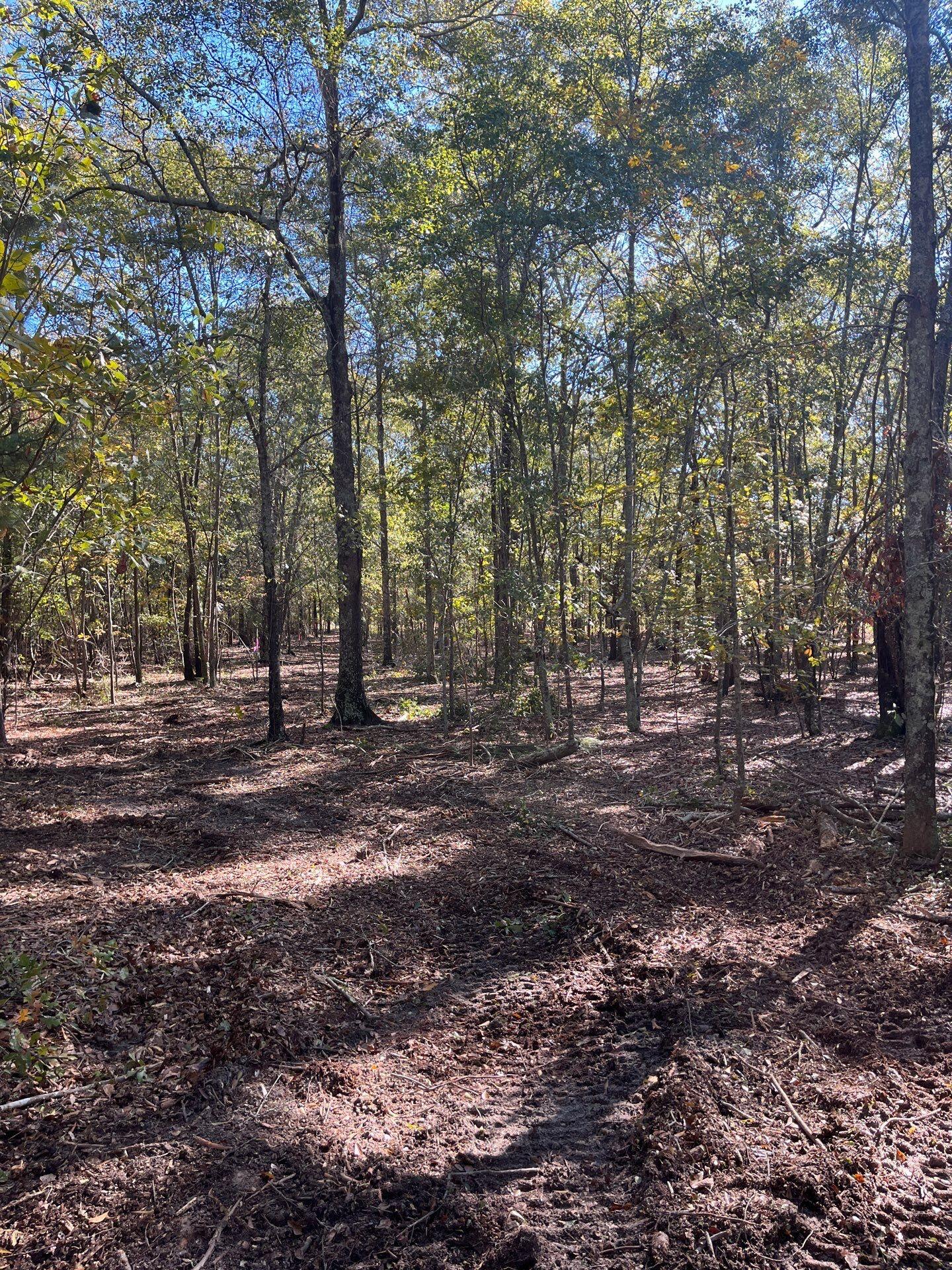 7 Boise Cascade Road, Unit BHL 7 Bethune, SC 29009 - Photo 2 of 8 7-Oct 31 2025 03_04pm-saup