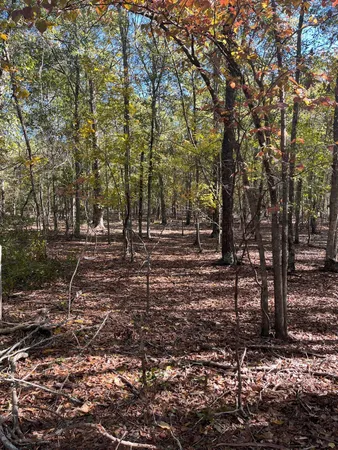 $69,900 | 7 Boise Cascade Road, Unit BHL 7, Bethune, SC 29009