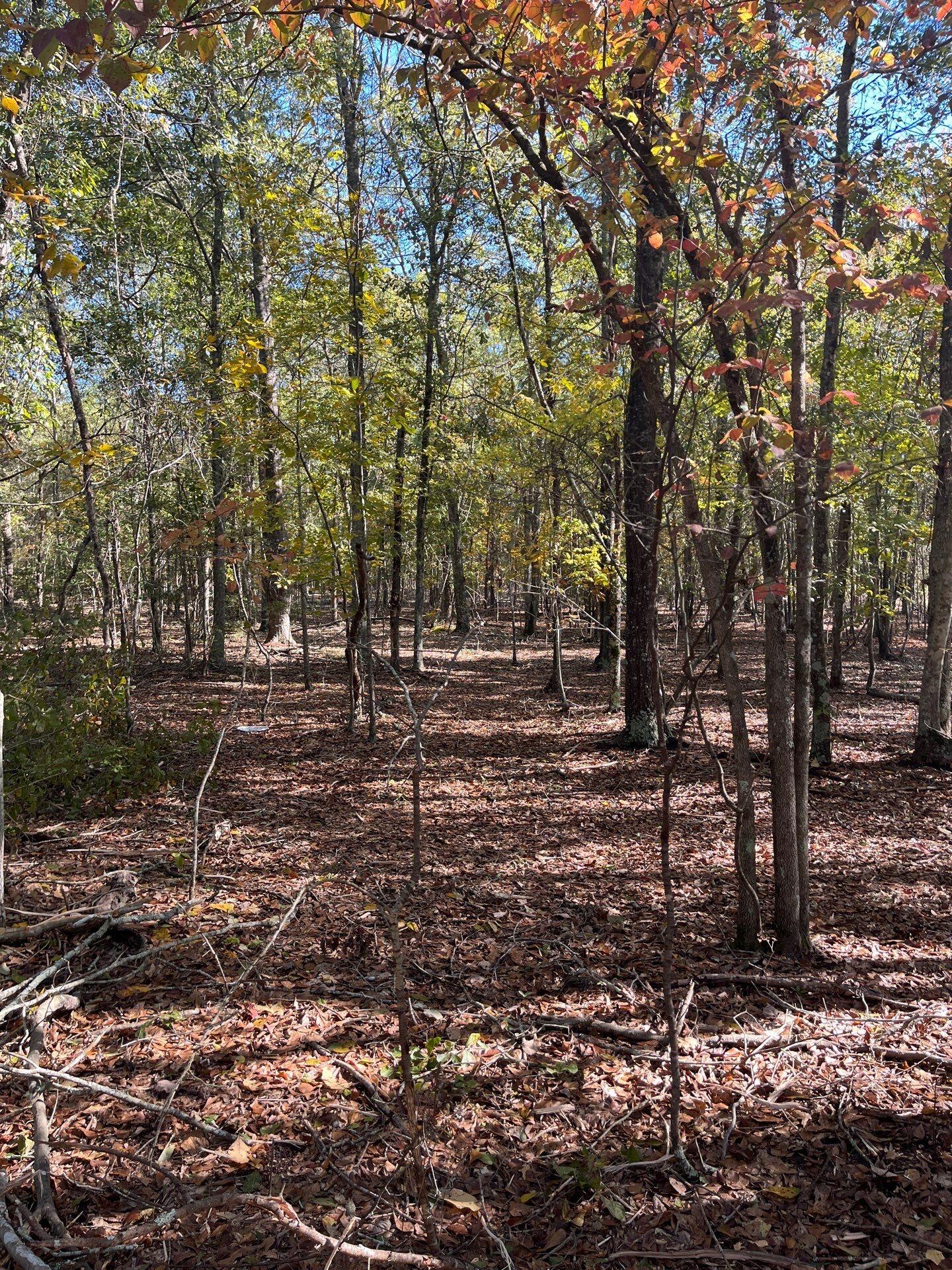 7 Boise Cascade Road, Unit BHL 7 Bethune, SC 29009 - Photo 3 of 8 6-Oct 31 2025 03_01pm-9qtB
