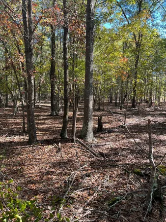 $69,900 | 7 Boise Cascade Road, Unit BHL 7, Bethune, SC 29009