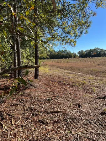 $69,900 | 7 Boise Cascade Road, Unit BHL 7, Bethune, SC 29009