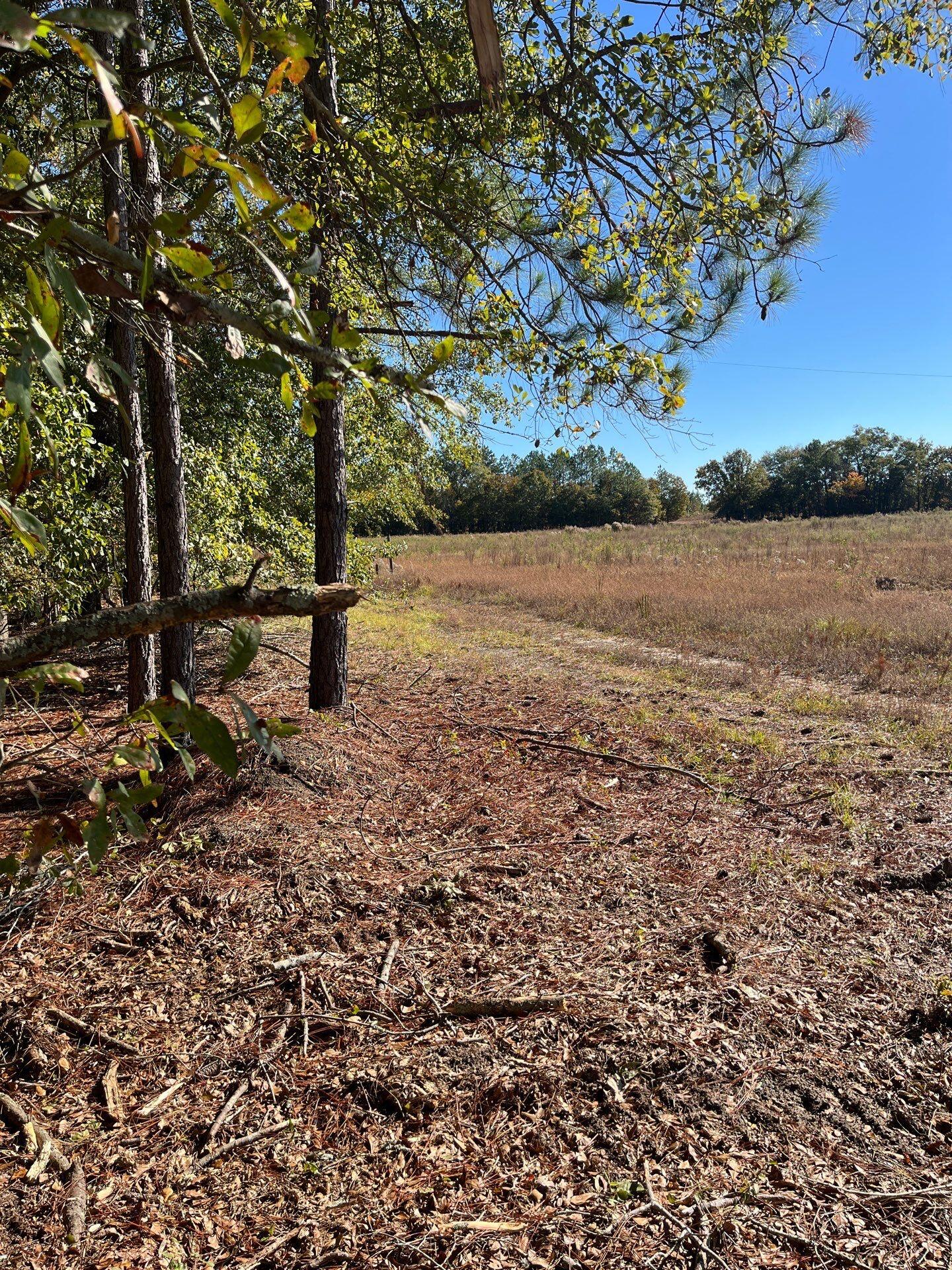 7 Boise Cascade Road, Unit BHL 7 Bethune, SC 29009 - Photo 5 of 8 4-Oct 31 2025 03_01pm-4HTg