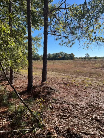 $69,900 | 7 Boise Cascade Road, Unit BHL 7, Bethune, SC 29009