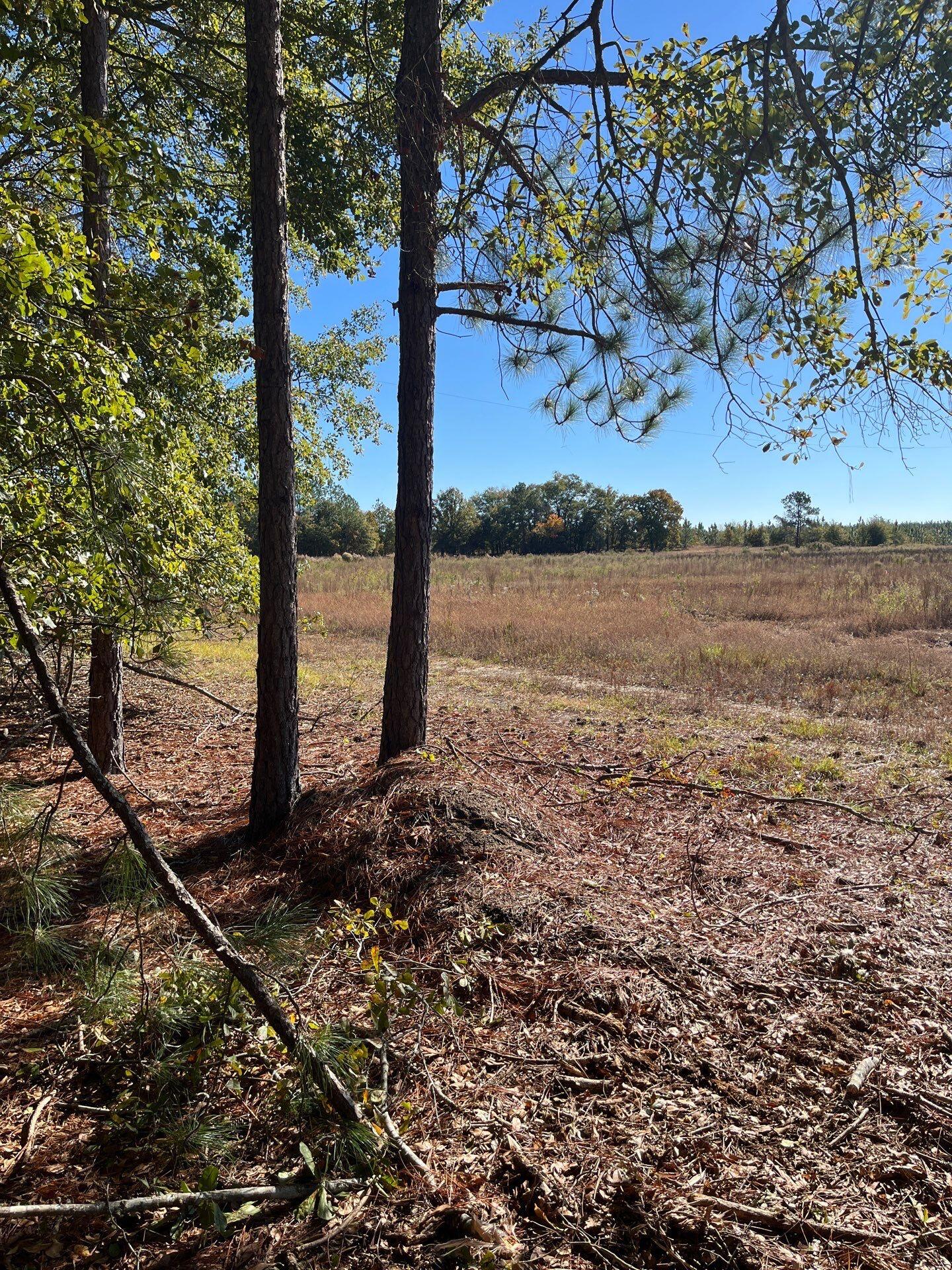 7 Boise Cascade Road, Unit BHL 7 Bethune, SC 29009 - Photo 6 of 8 3-Oct 31 2025 03_01pm-Qj6n