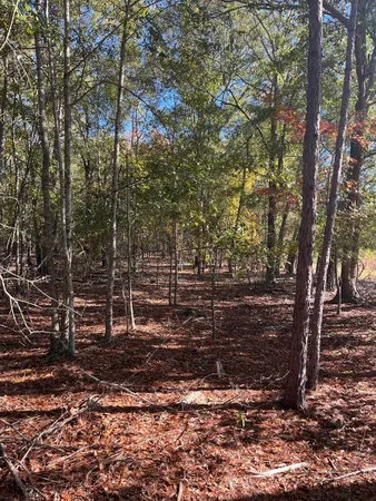 $69,900 | 7 Boise Cascade Road, Unit BHL 7, Bethune, SC 29009