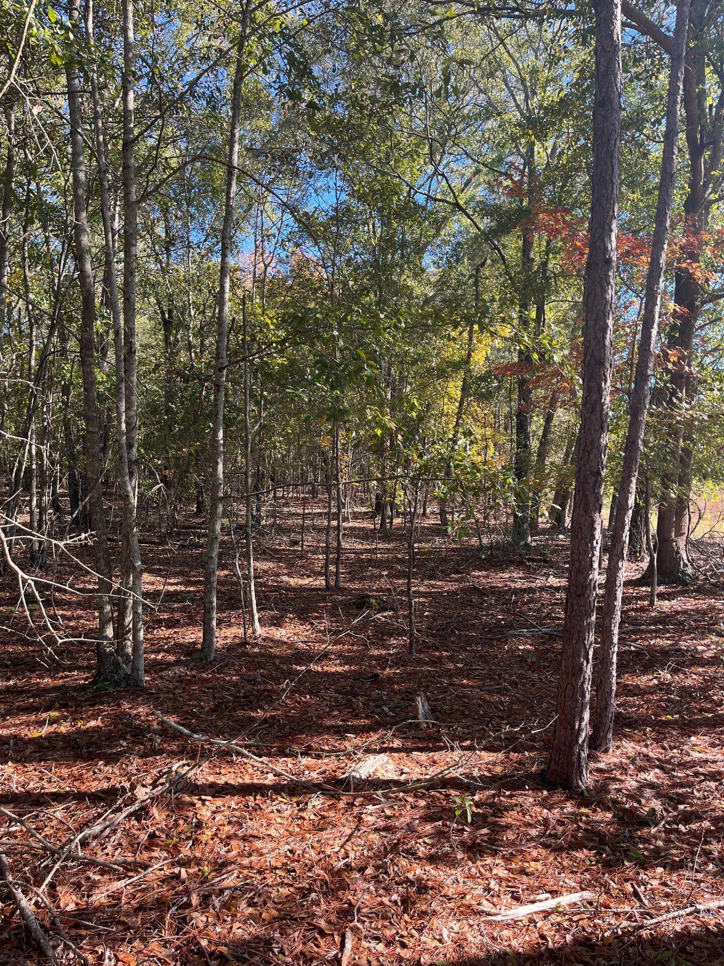 7 Boise Cascade Road, Unit BHL 7 Bethune, SC 29009 - Photo 7 of 8 2-Oct 31 2025 03_01pm-Hjzr