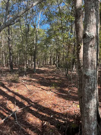 $69,900 | 7 Boise Cascade Road, Unit BHL 7, Bethune, SC 29009