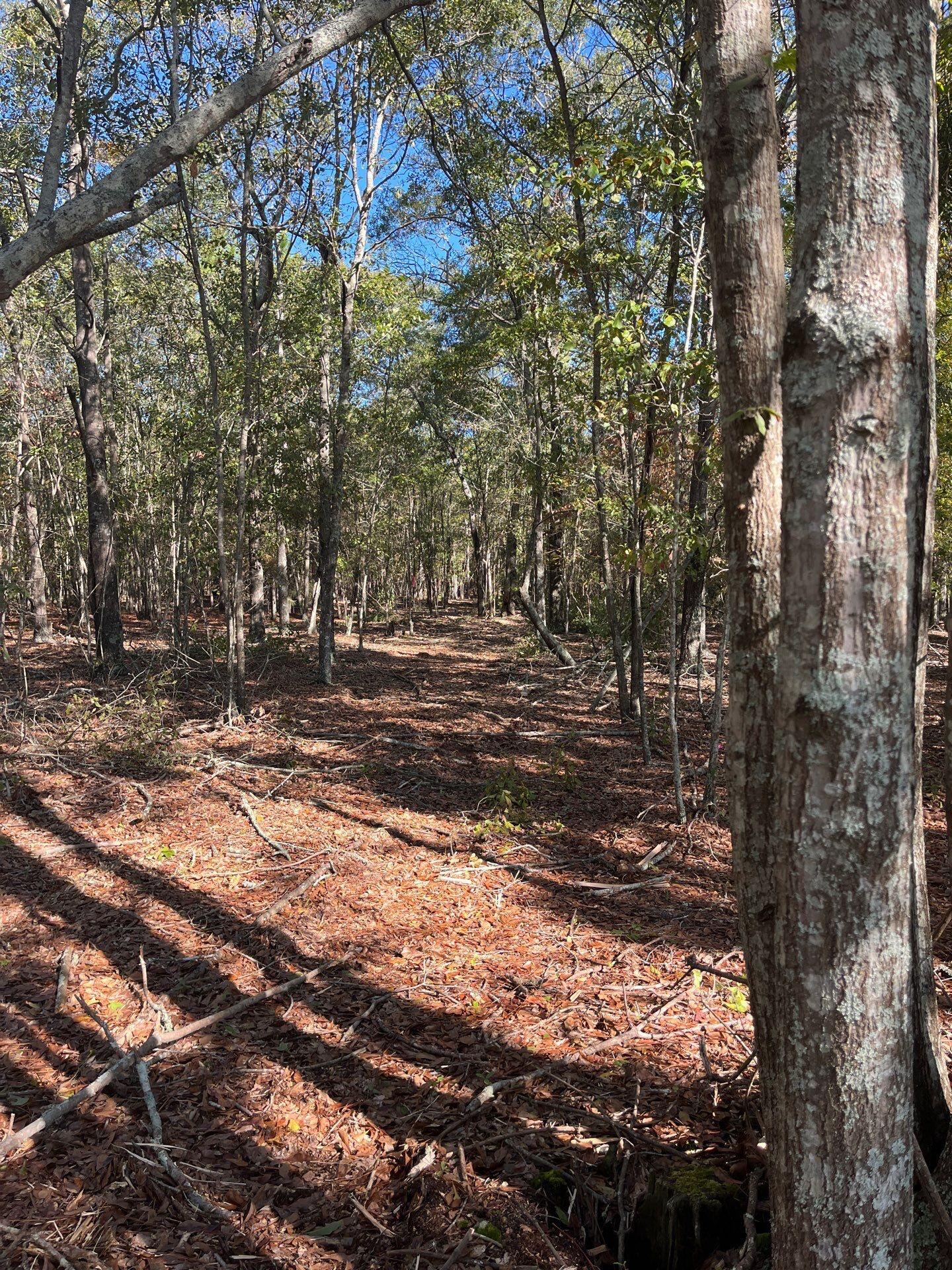 7 Boise Cascade Road, Unit BHL 7 Bethune, SC 29009 - Photo 8 of 8 1-Oct 31 2025 03_01pm-fZVR