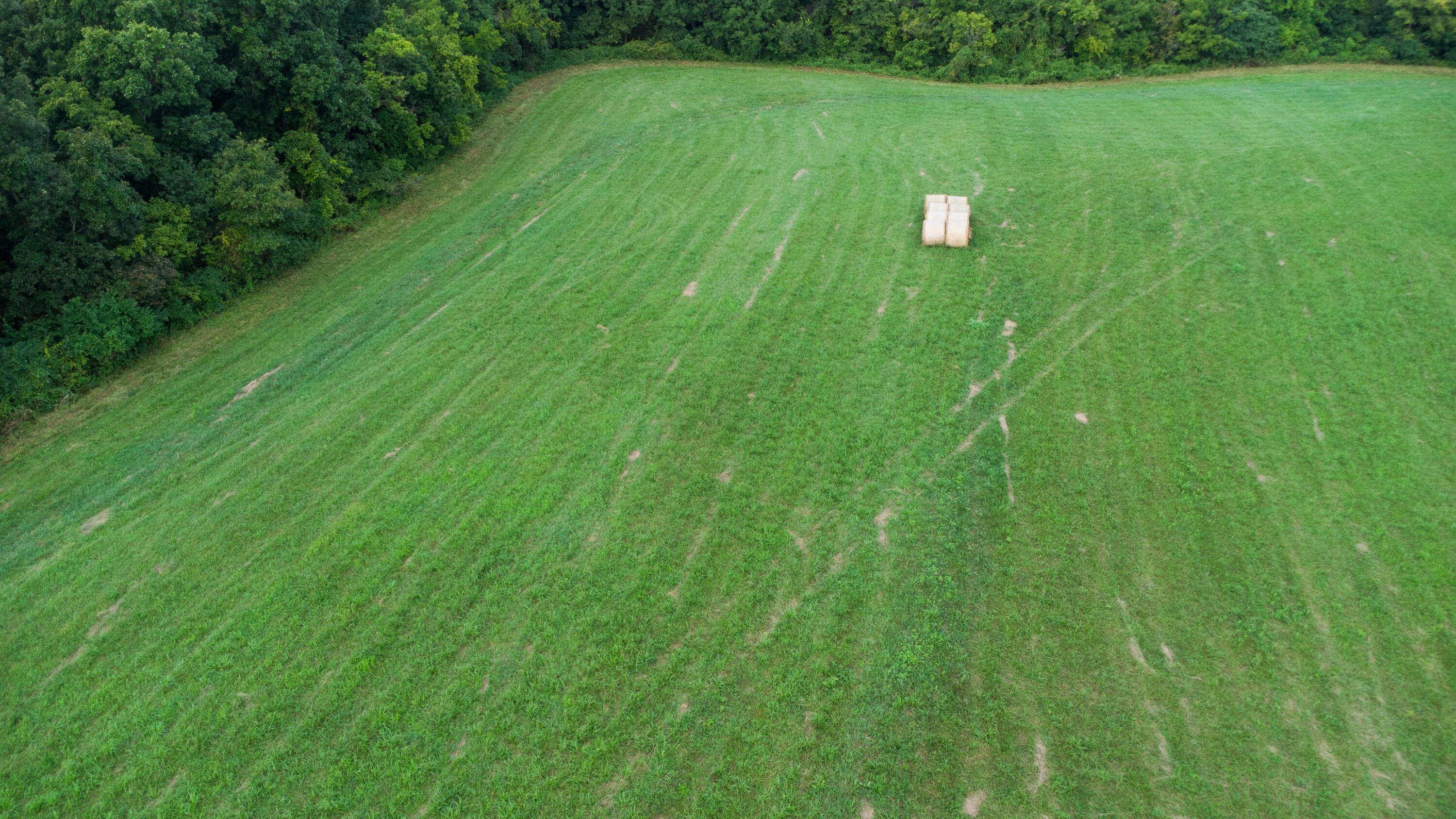 4095 Warsaw Road Dry Ridge, KY 41035 - Photo 20 of 48