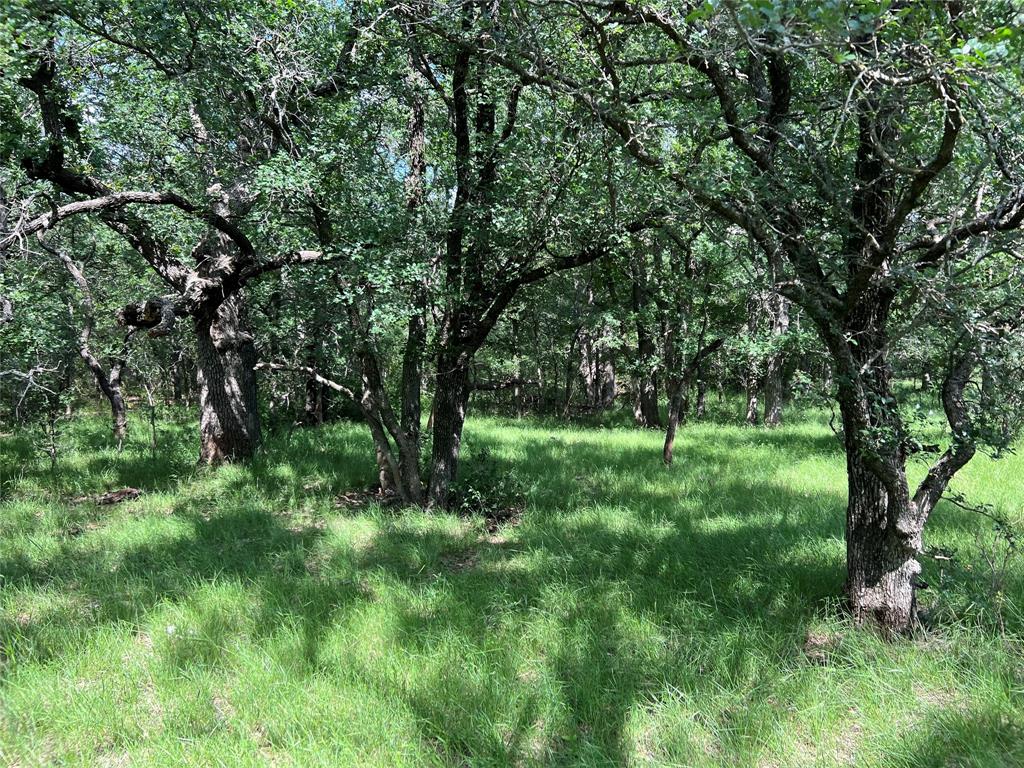 137 County Road 137 Road Cisco, TX 76437 - Photo 7 of 12