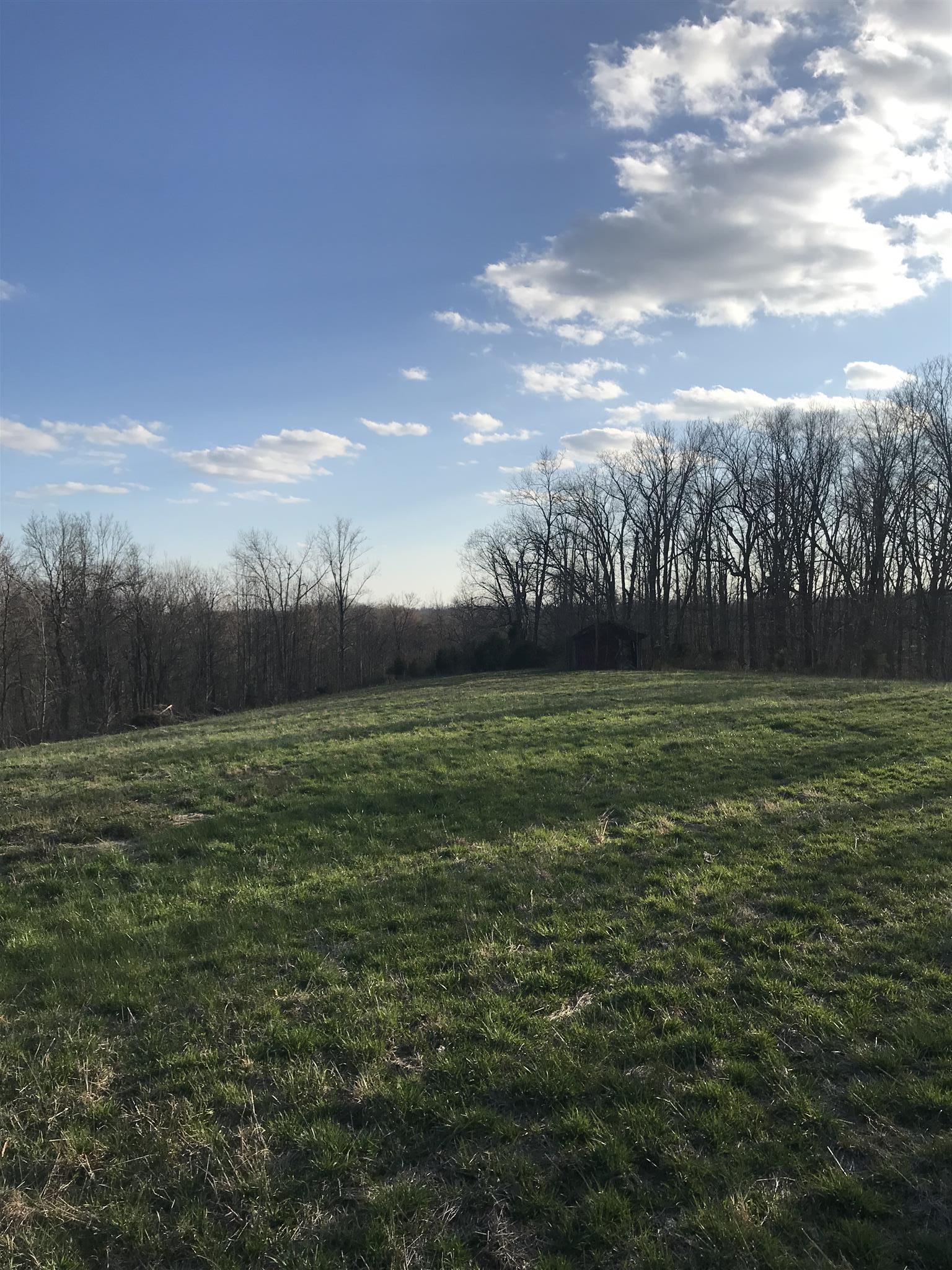 0 Daddy Green Road Beechgrove, TN 37018 - Photo 1 of 13 Gallery Image 1
